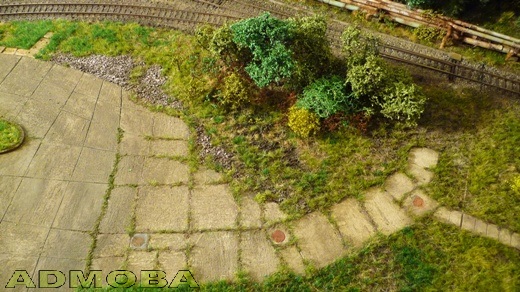 die Natur nimmt Gestalt an